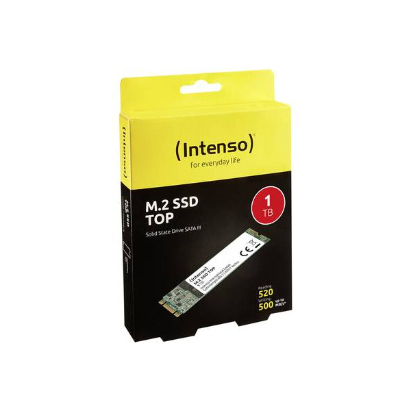 Intenso Top Performance 1Tb M.2